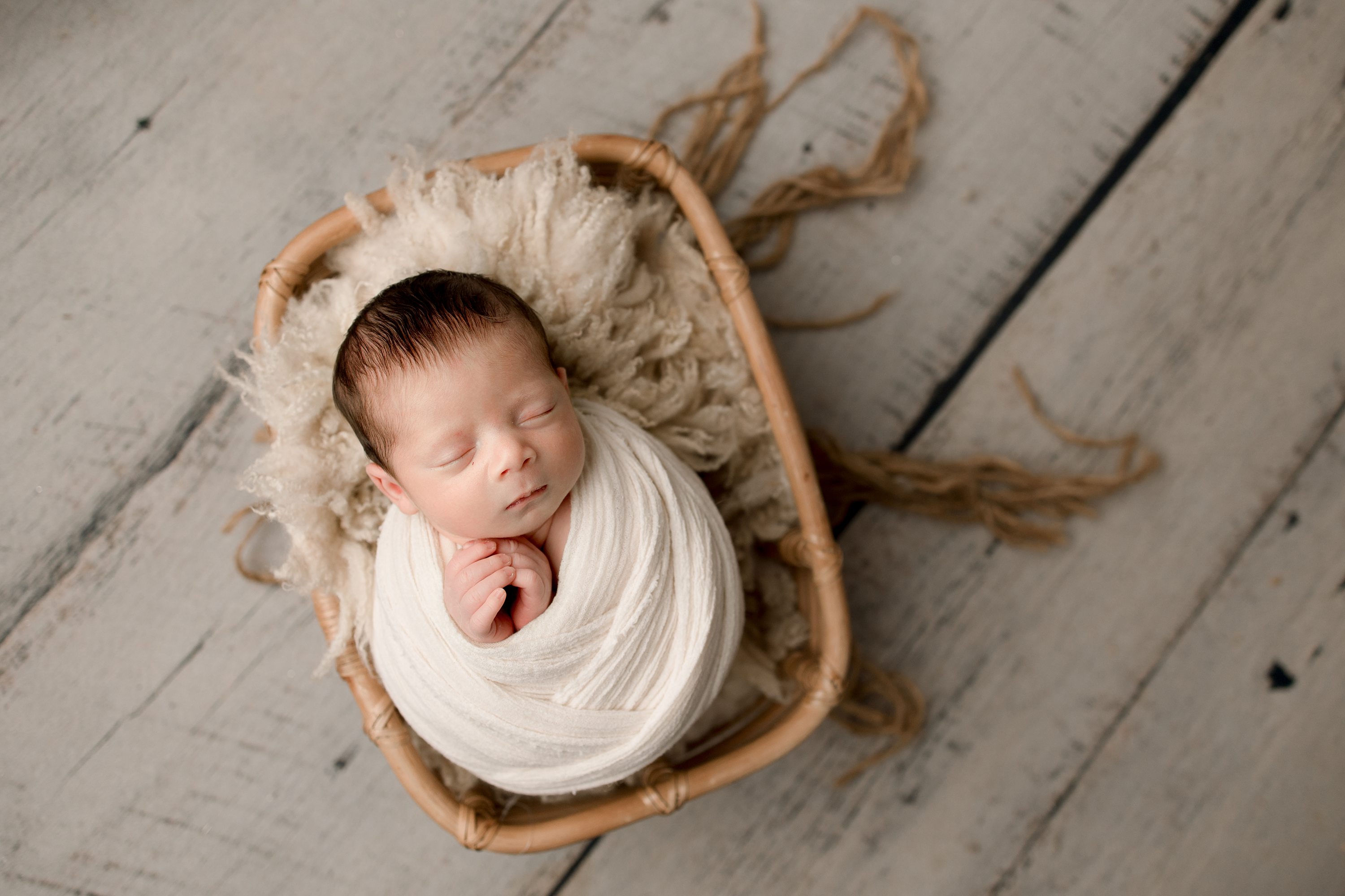 Commercial newborn studio Gainesville