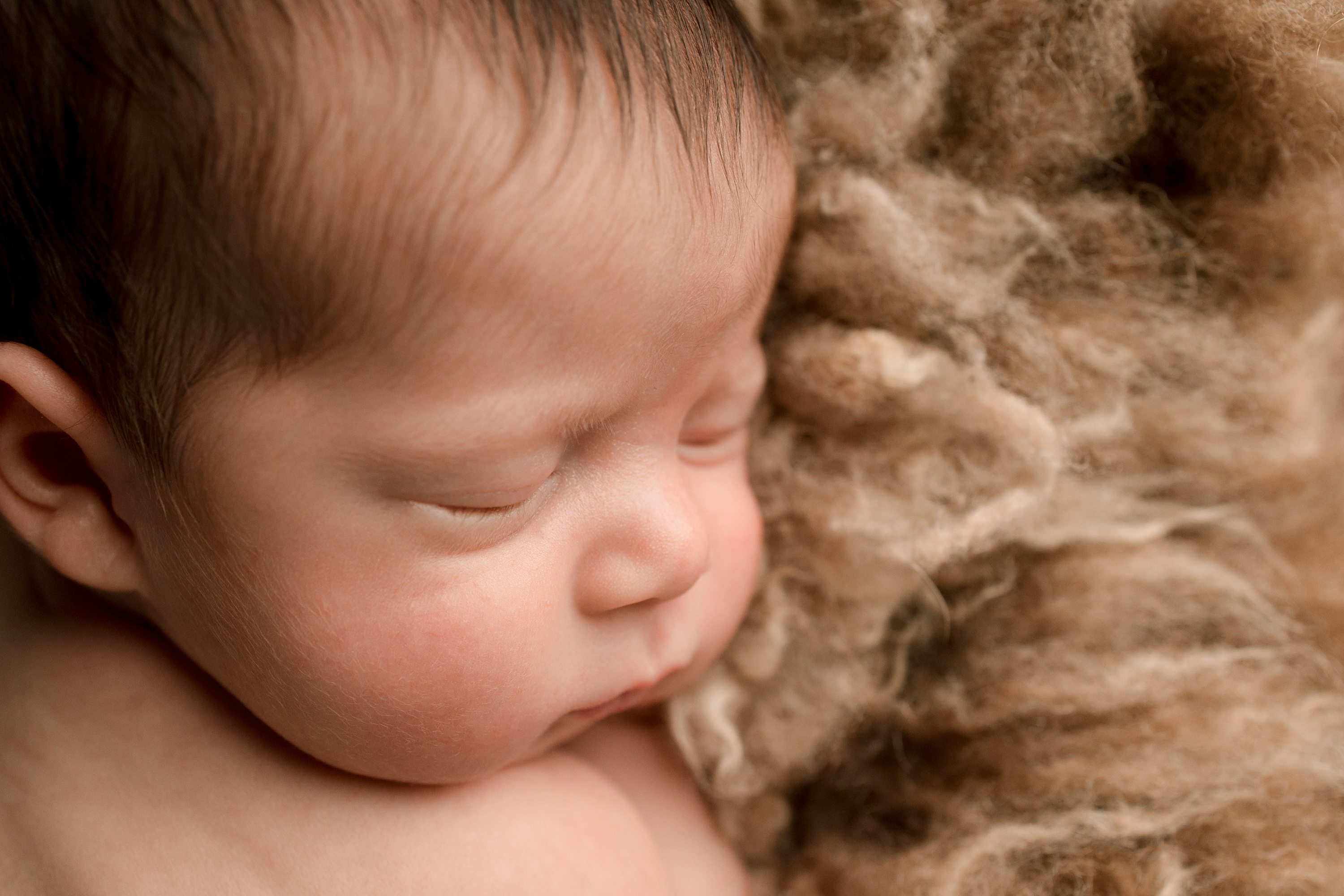 Commercial newborn studio Gainesville