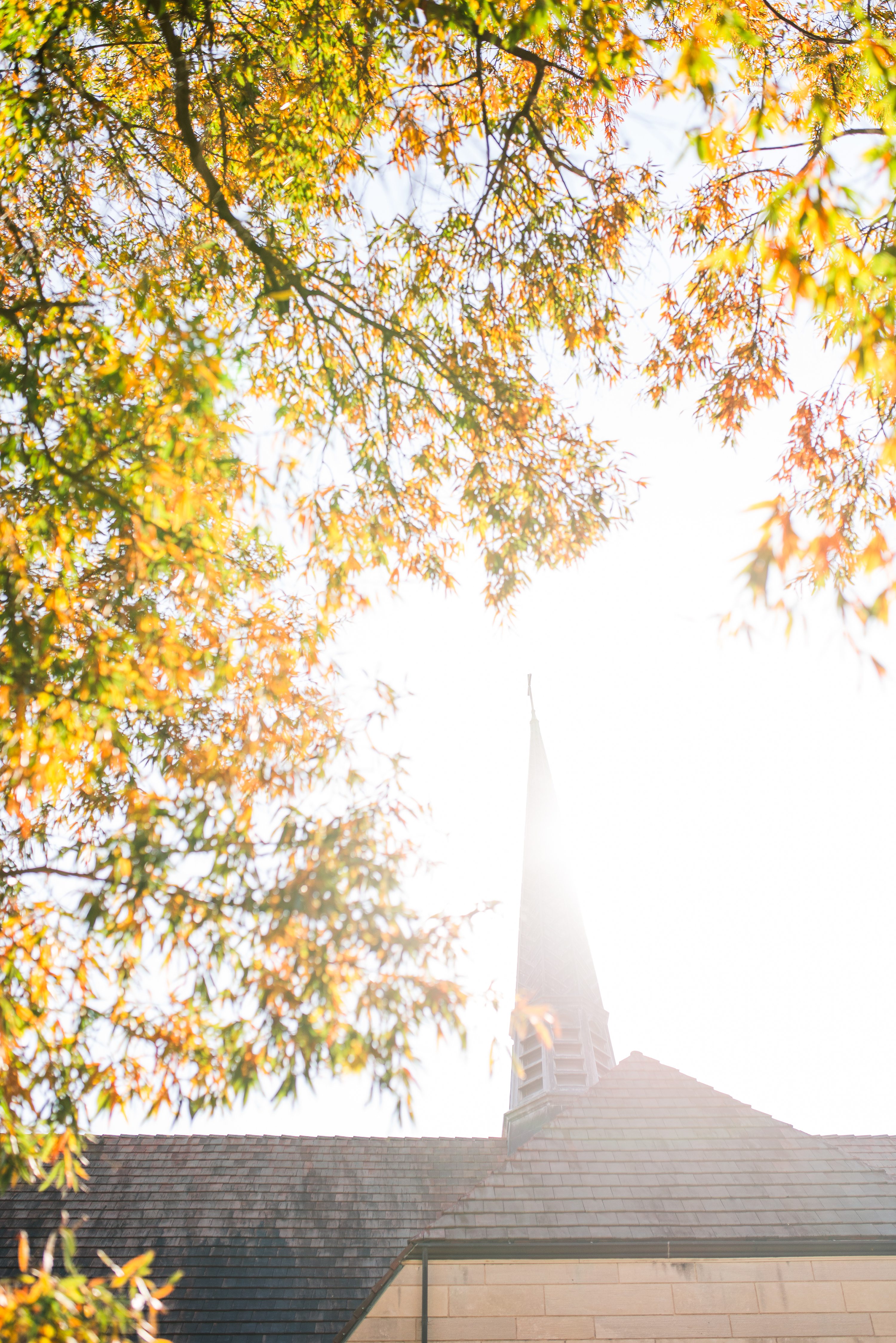 Richmond fall wedding,Willow Oaks Country Club