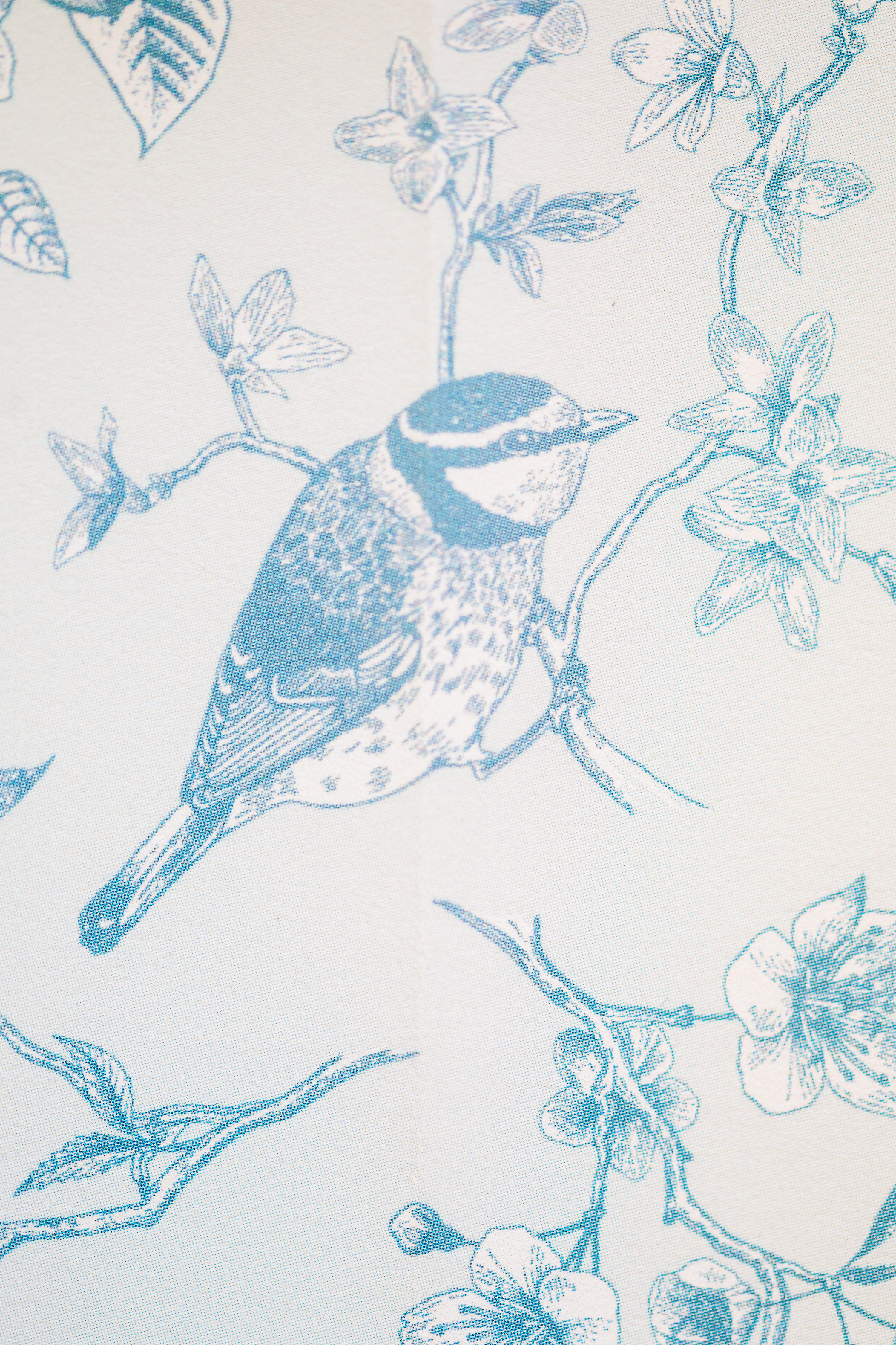 Downtown Richmond Wedding,Willow Oaks Country Club