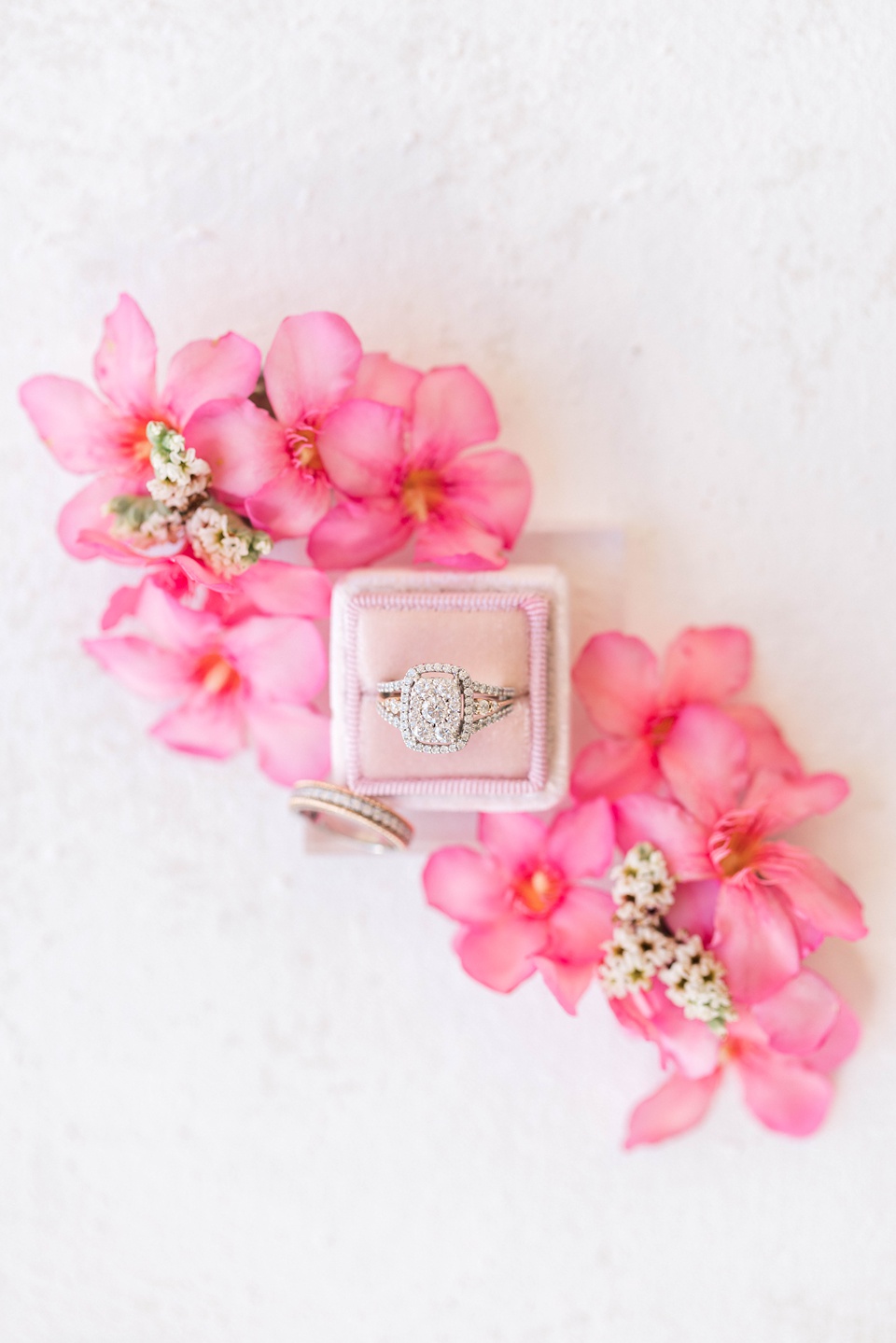  Destination Wedding Photographer,Royalton Resort Wedding