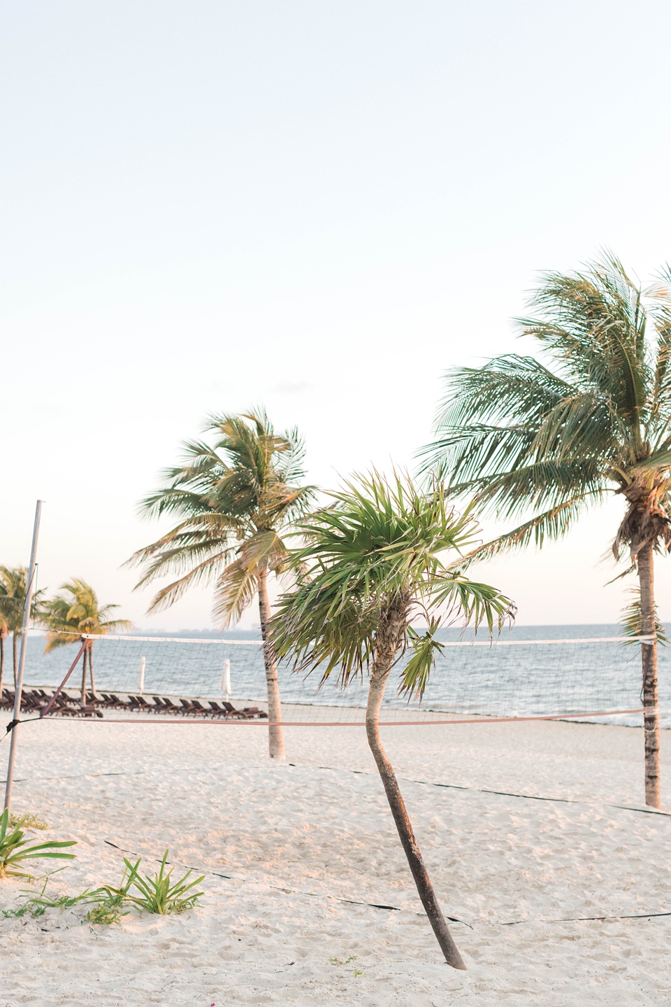  Mexico Wedding Photographer,Royalton Resort Wedding
