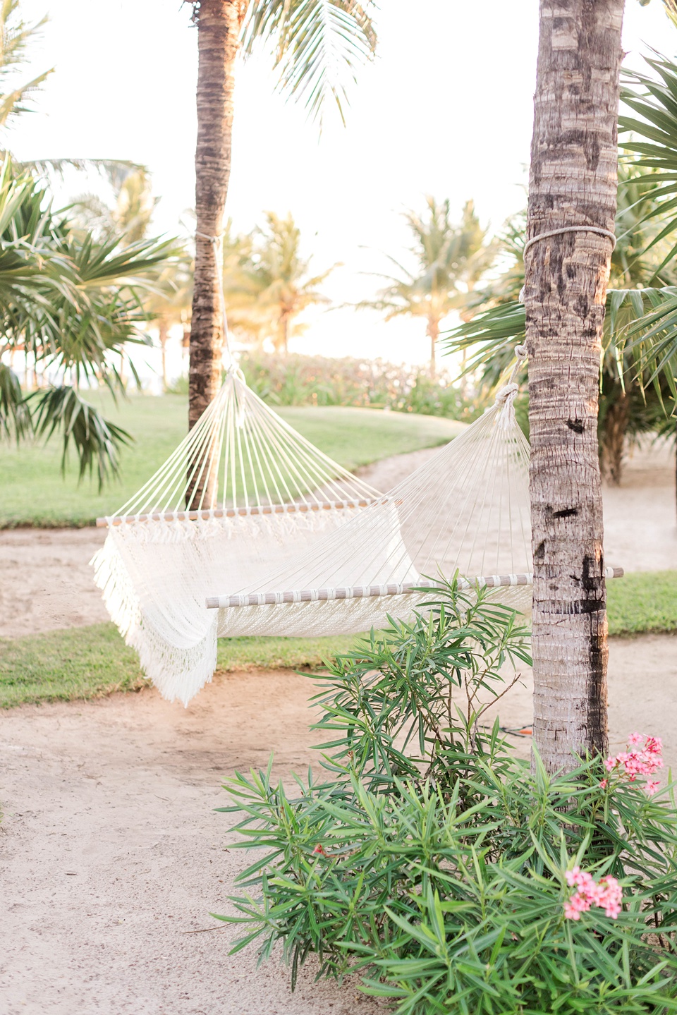  Mexico Wedding Venues