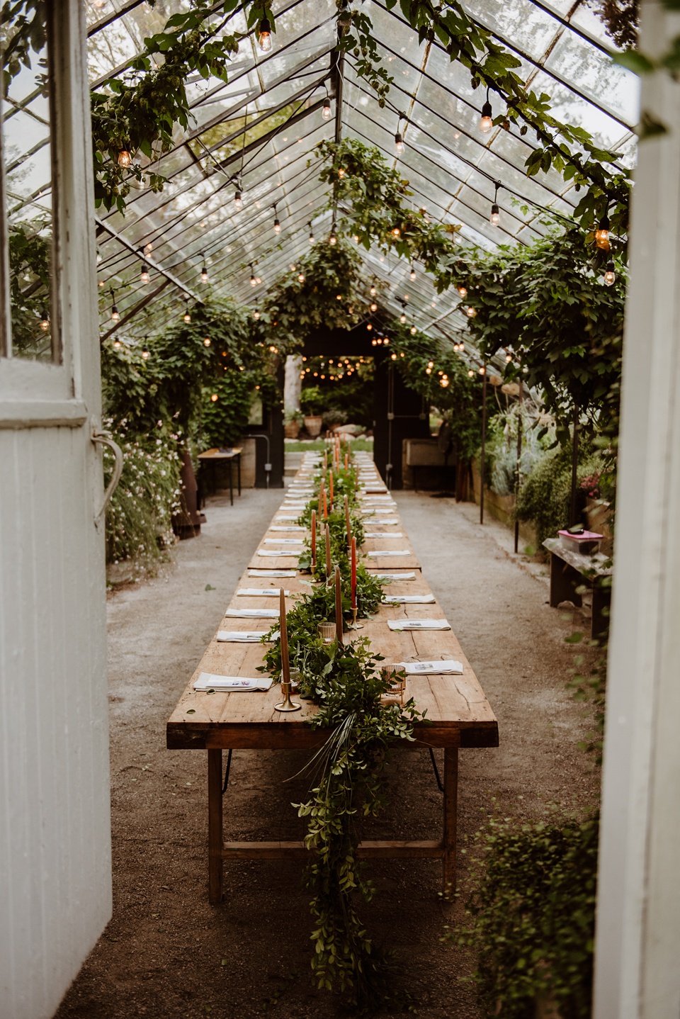 photographer,michigan