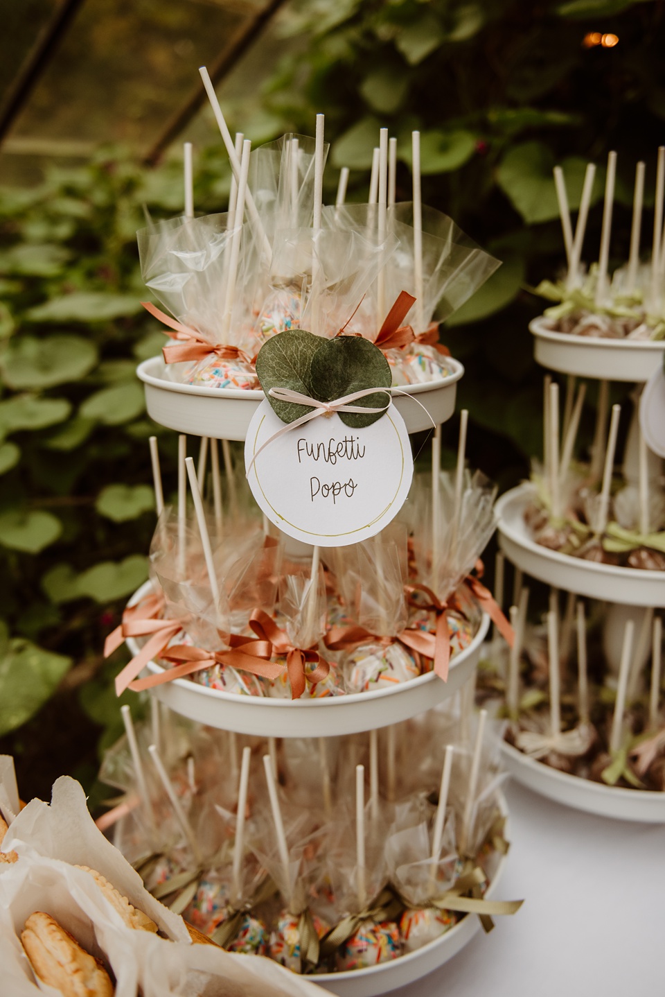 photographer,holland