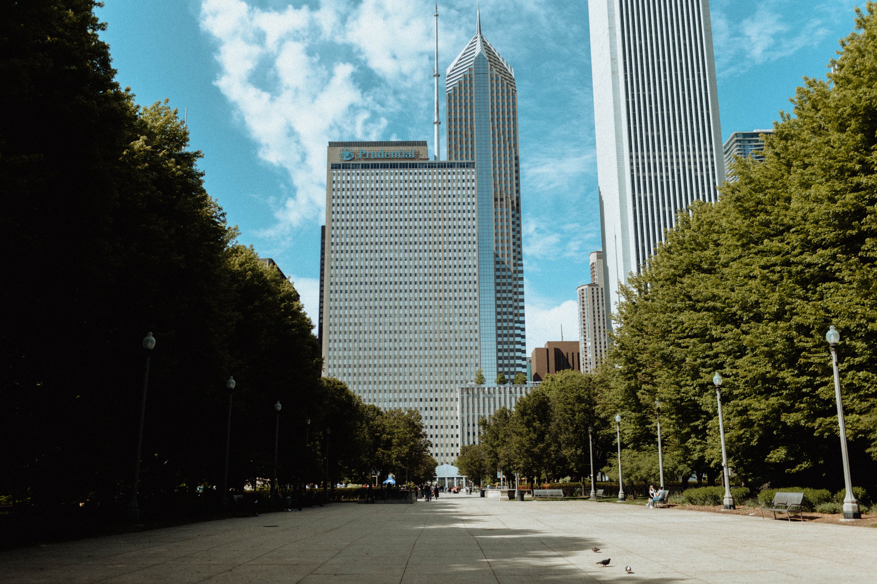 destination wedding,midwest wedding photographer,chicago courthouse wedding,chicago elopement,celebrity elopement,chicago fire tv show,Chicago wedding photographer,indianapolis wedding photographer
