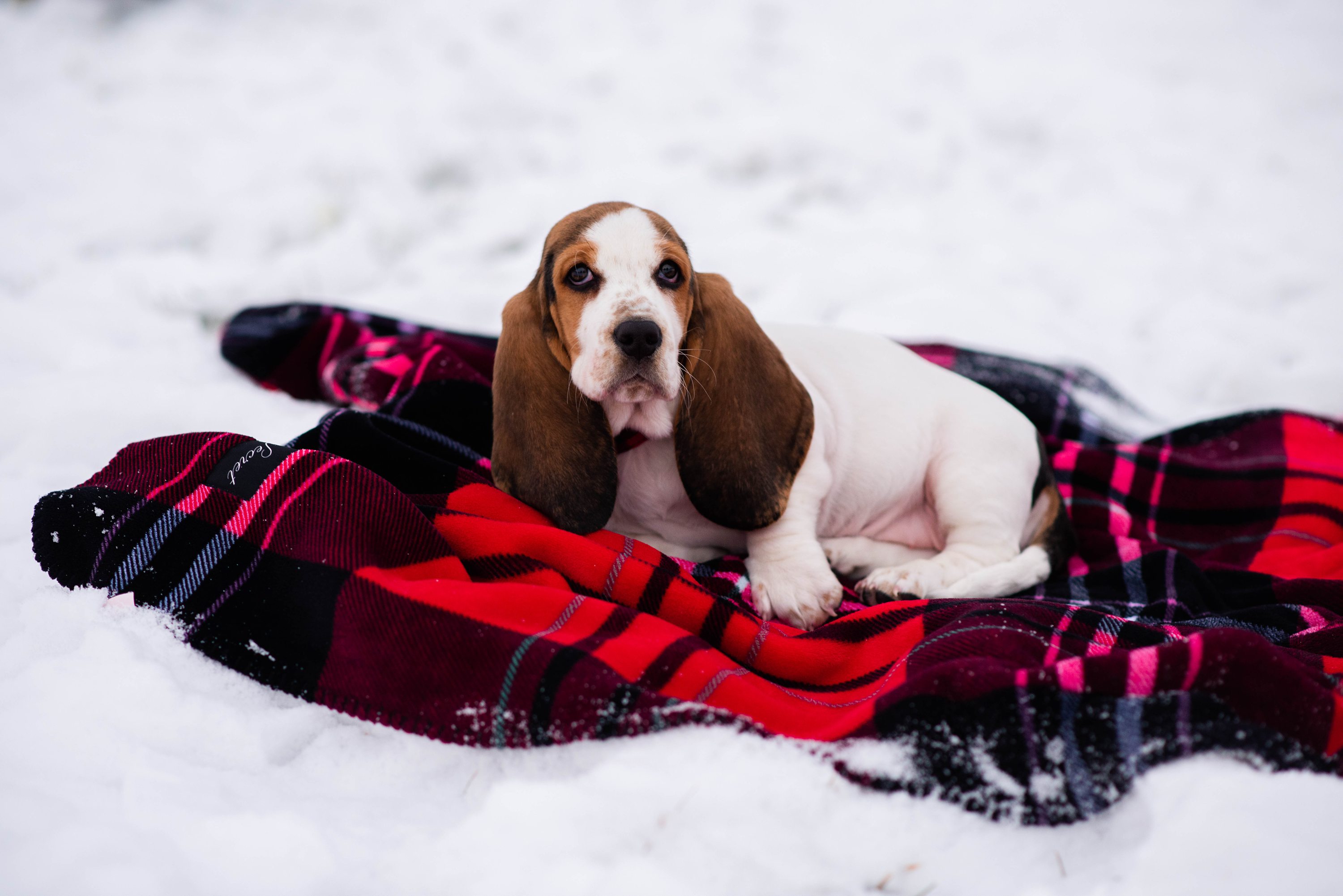 snowy outdoor session,