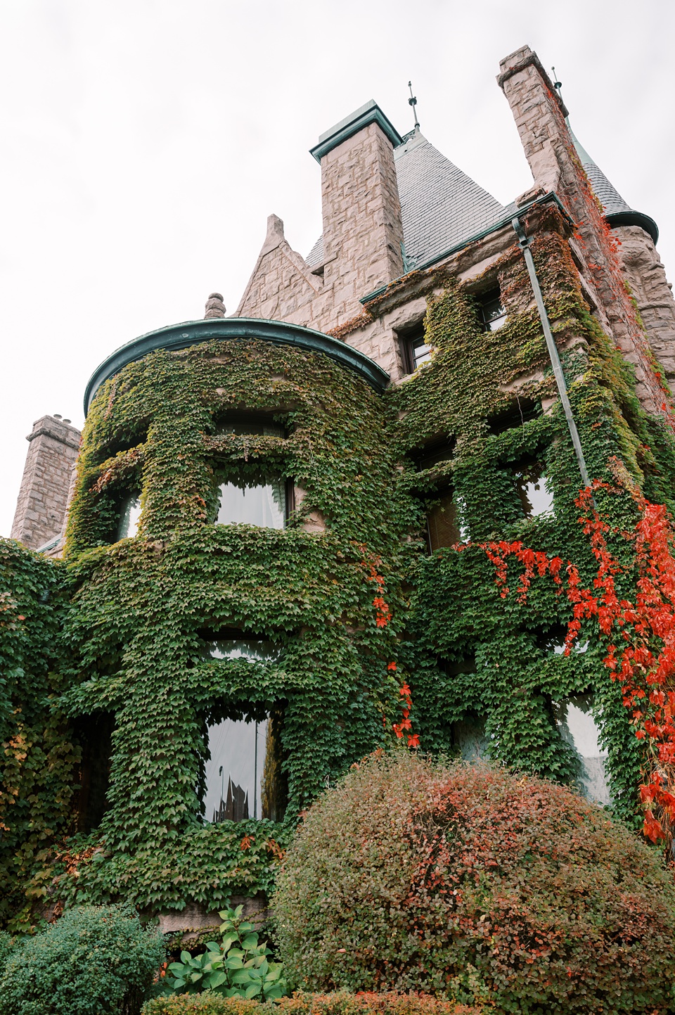 All you need is Love | The Gardens of Castle Rock, image size:960x1443