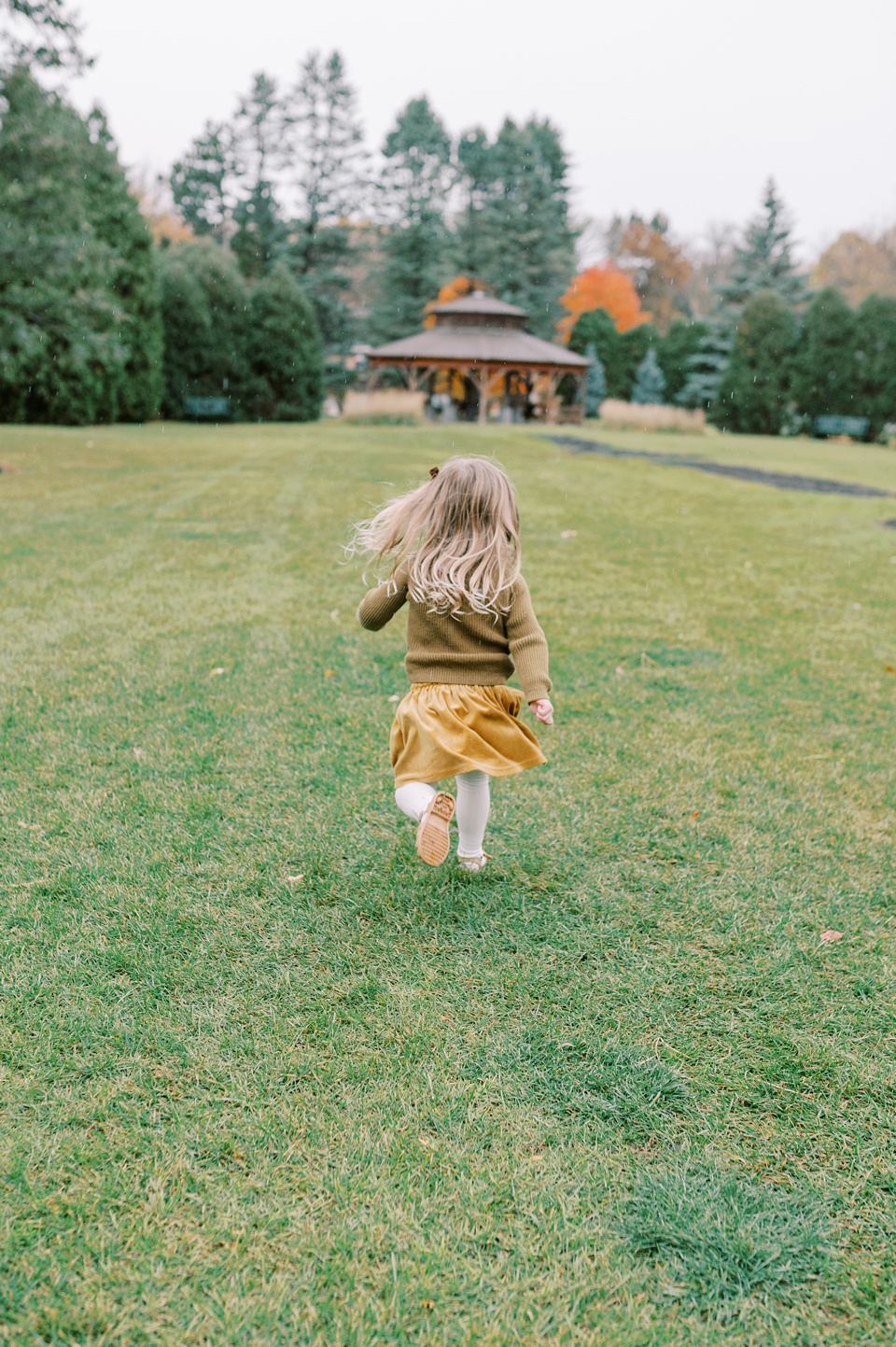 minneapolis family photographer,twin cities family photographer