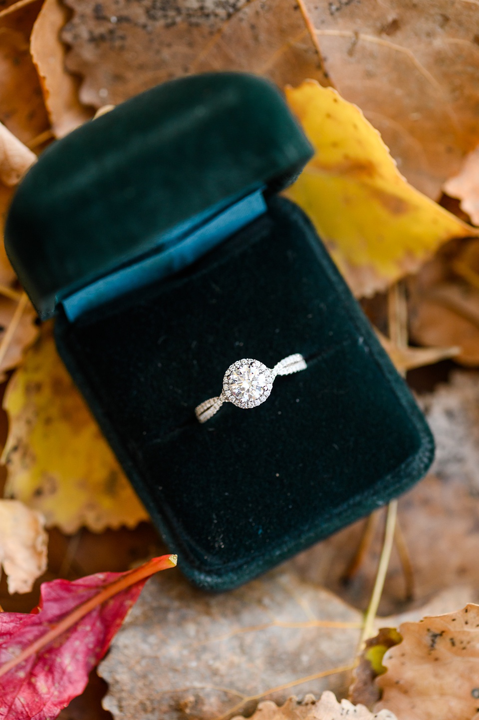 fargo engagement photos,fall engagement session