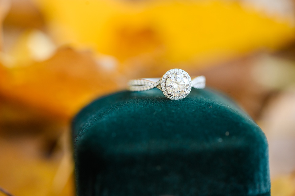 kindred nd engagement photos