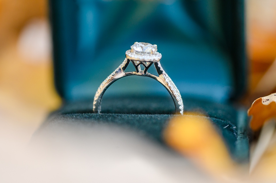 Fargo wedding photographer,fargo engagement photos