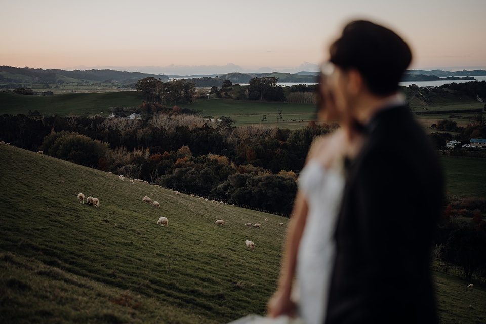 auckland weddings,Auckland wedding photographer,Auckland wedding photography,Aucklandvenues,Melbourne Wedding Photographer,Austraila Wedding photographer,Melbourne weddings