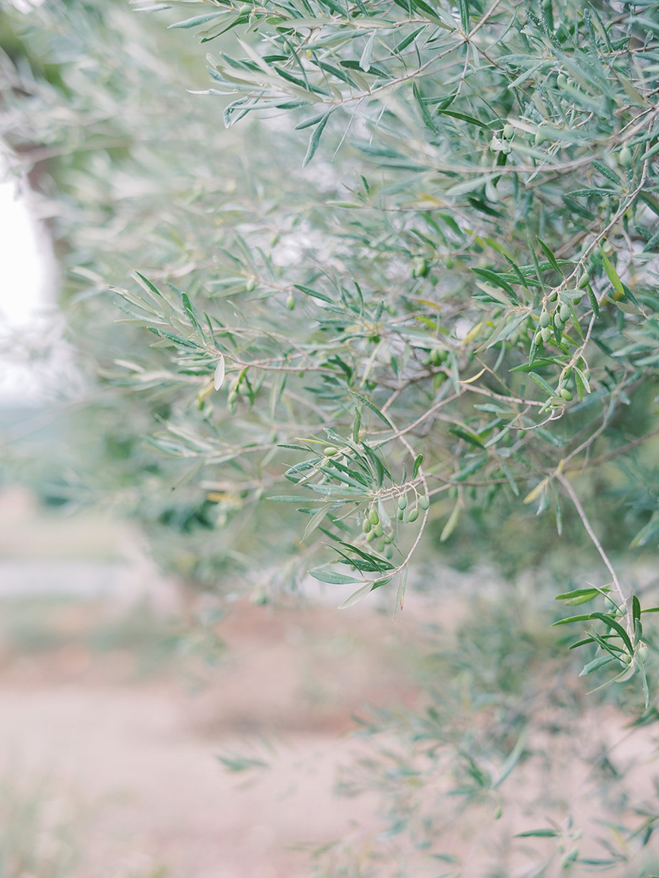 Mariage à la bastide saint Julien