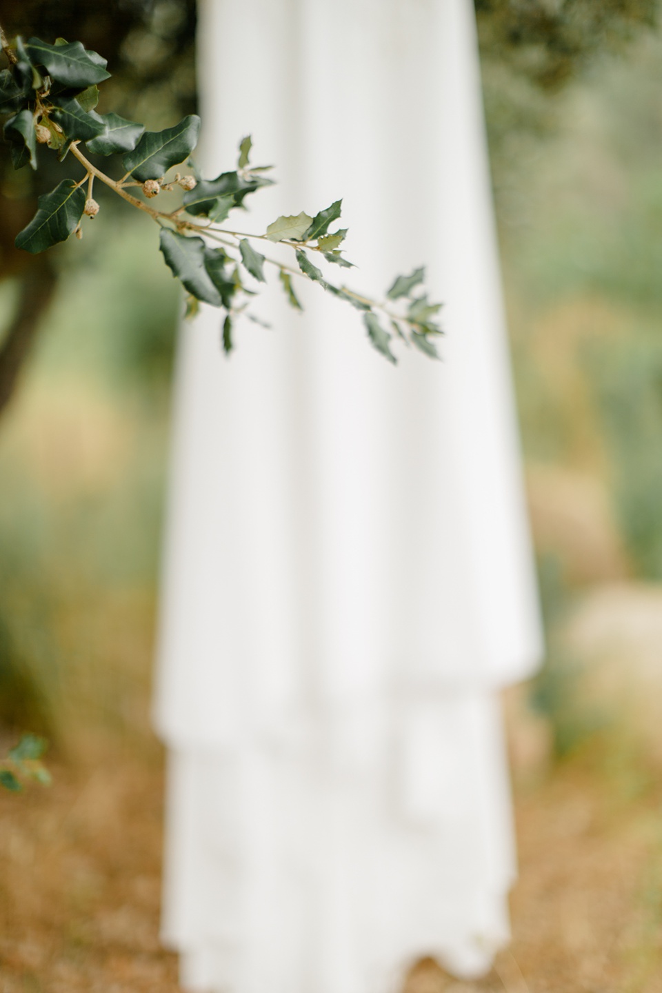 Mariage en corse coggia sagone