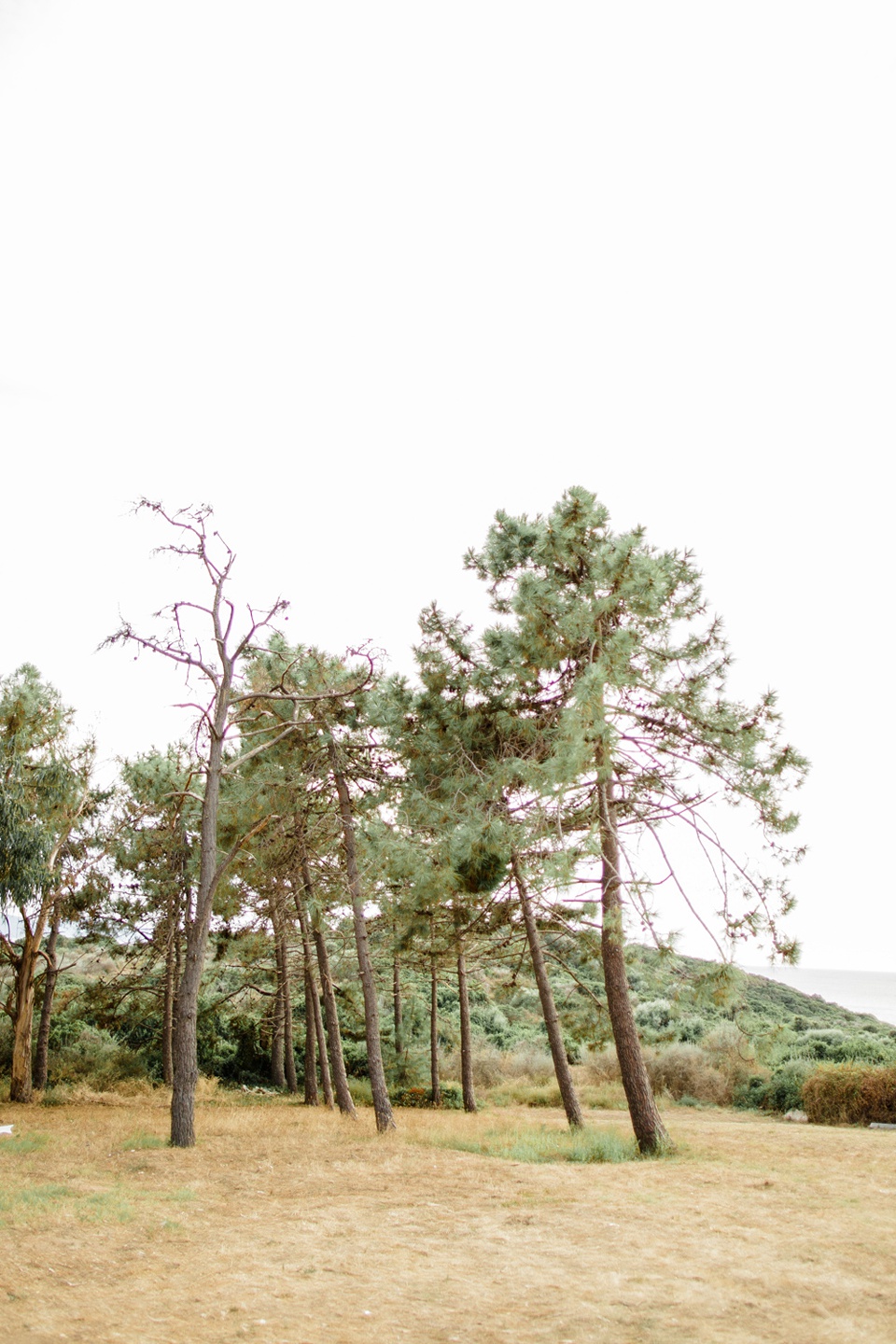 Mariage en corse coggia sagone