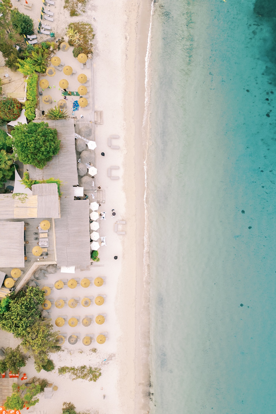 mariage au tiki porto vecchio mariage au tiki porto vecchio