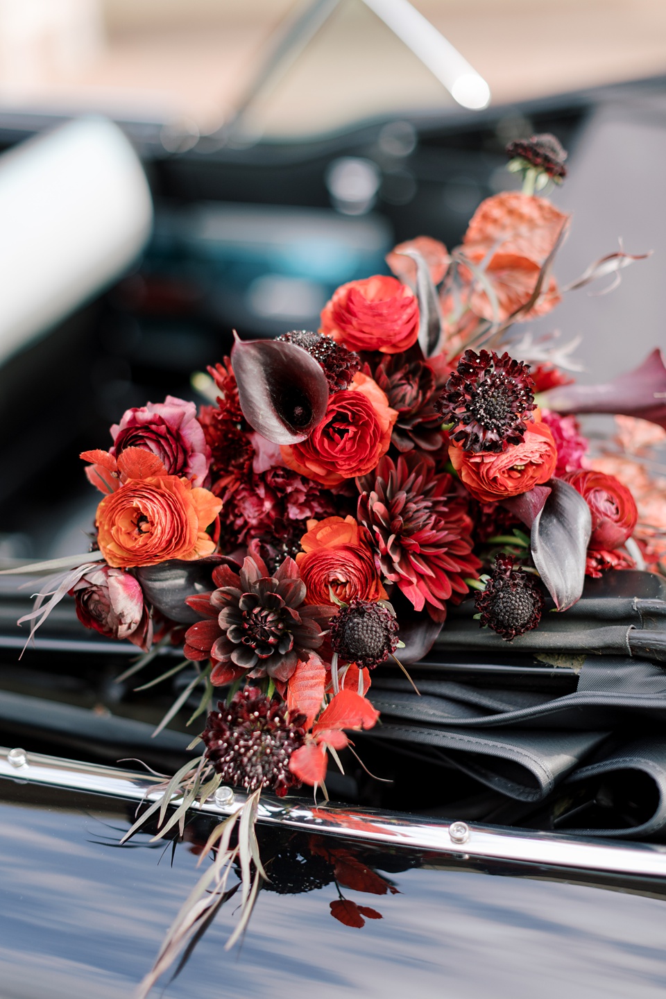 Images By Hope Helmuth Photography