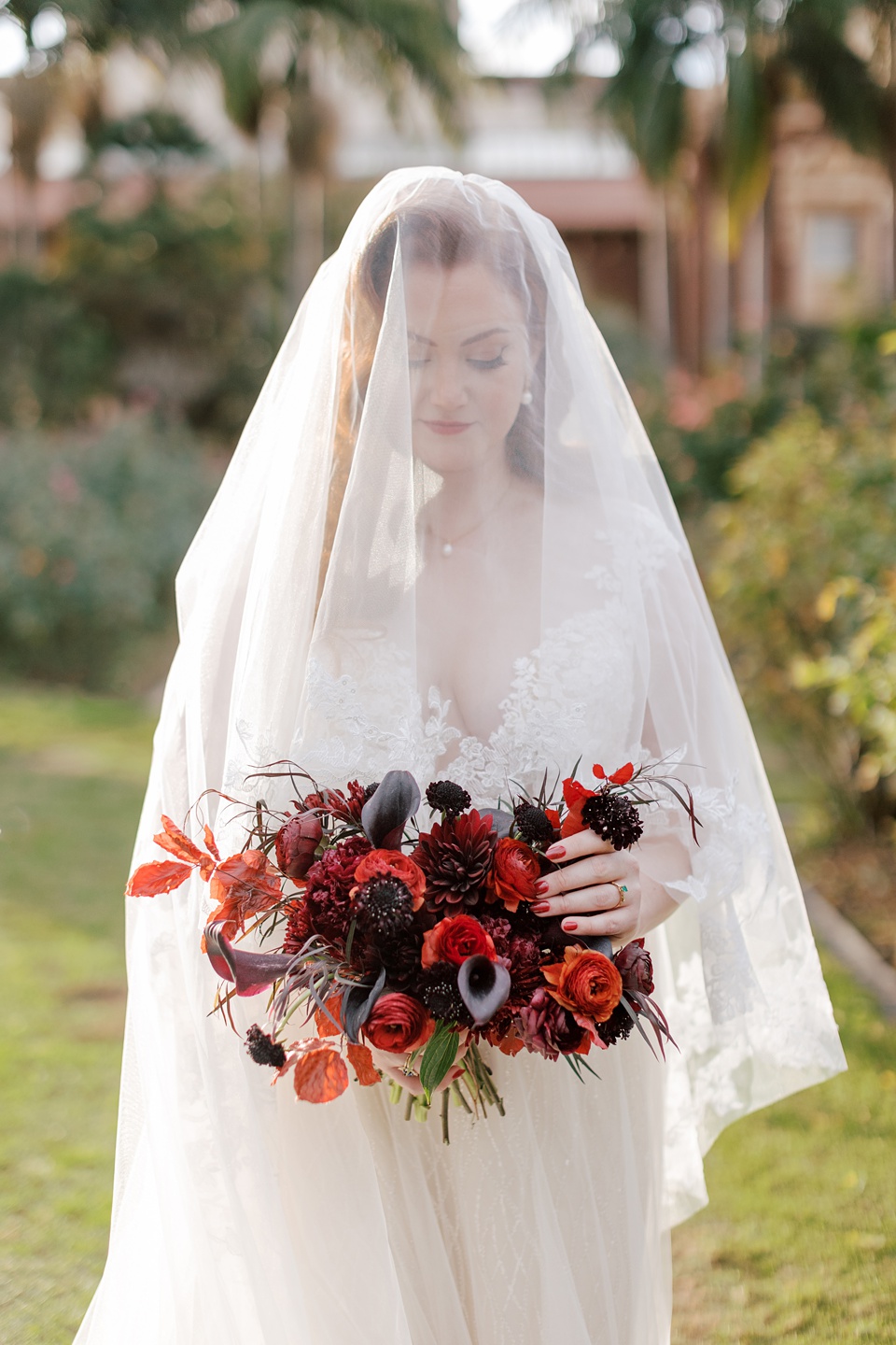 Images By Hope Helmuth Photography
