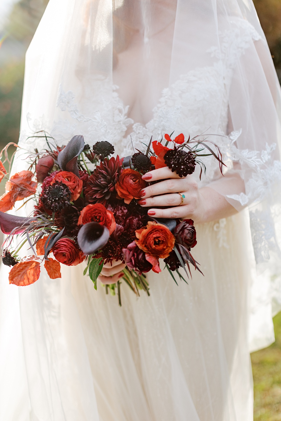 Images By Hope Helmuth Photography