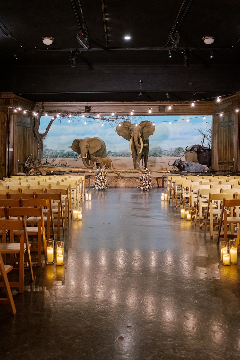 Images By Hope Helmuth Photography
