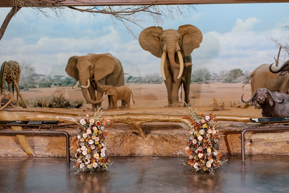 Images By Hope Helmuth Photography