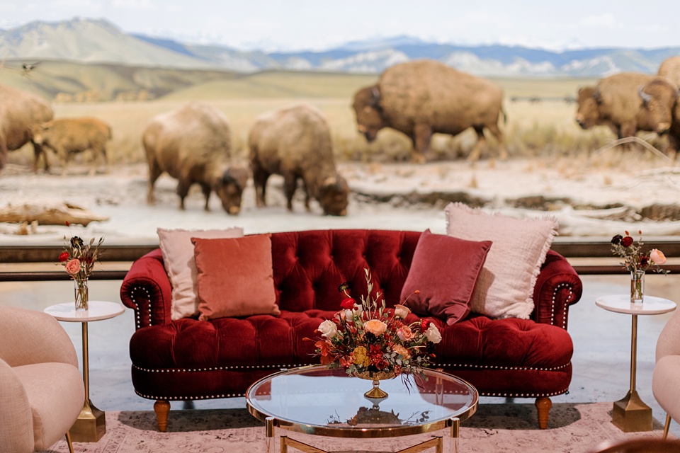 Images By Hope Helmuth Photography