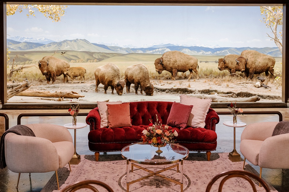 Images By Hope Helmuth Photography