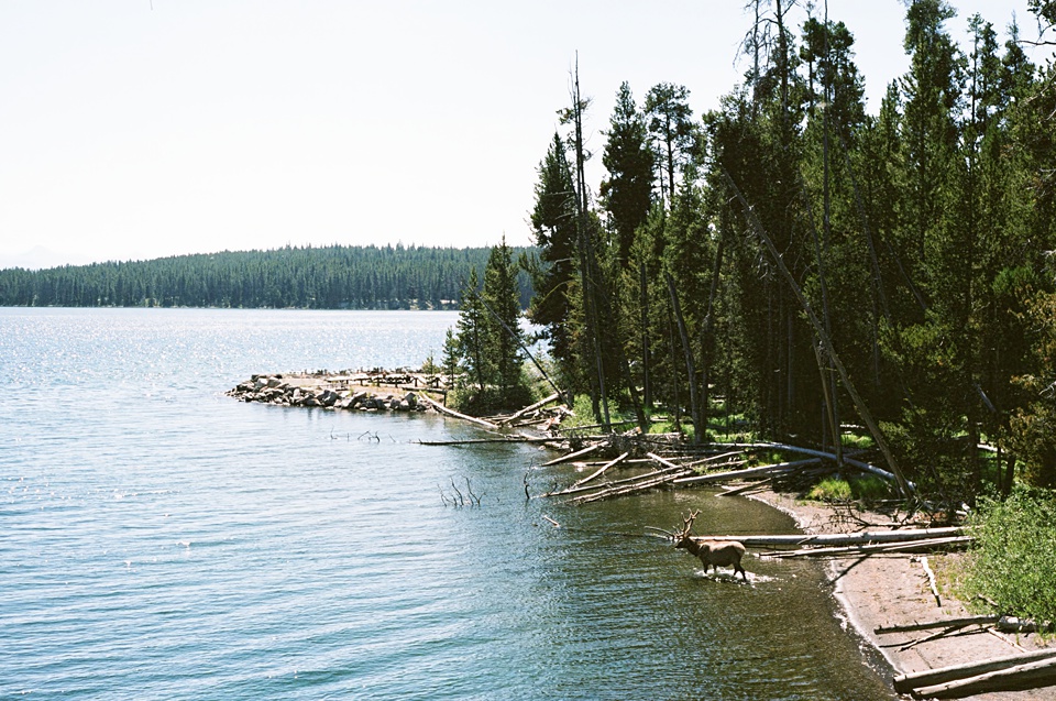 Montana Travel Photos,Yellowstone Film Photos