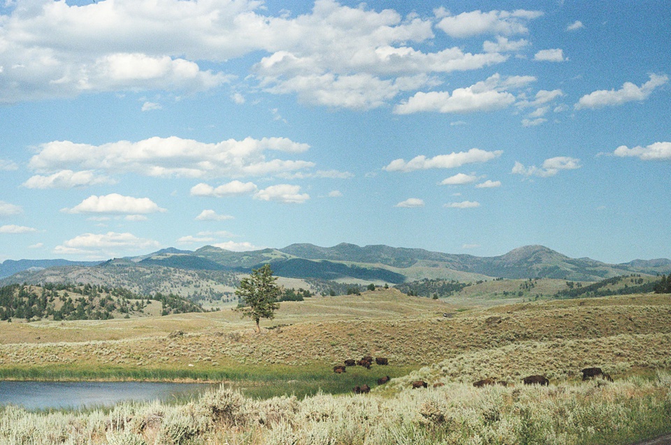 Yellowstone Film Photos