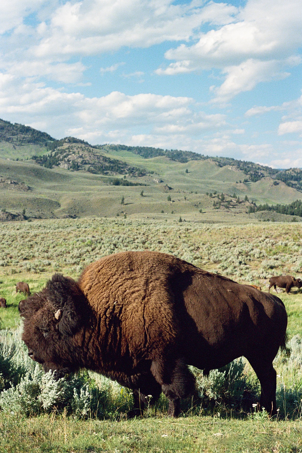 Travel Journal From Montana,Travel Photography