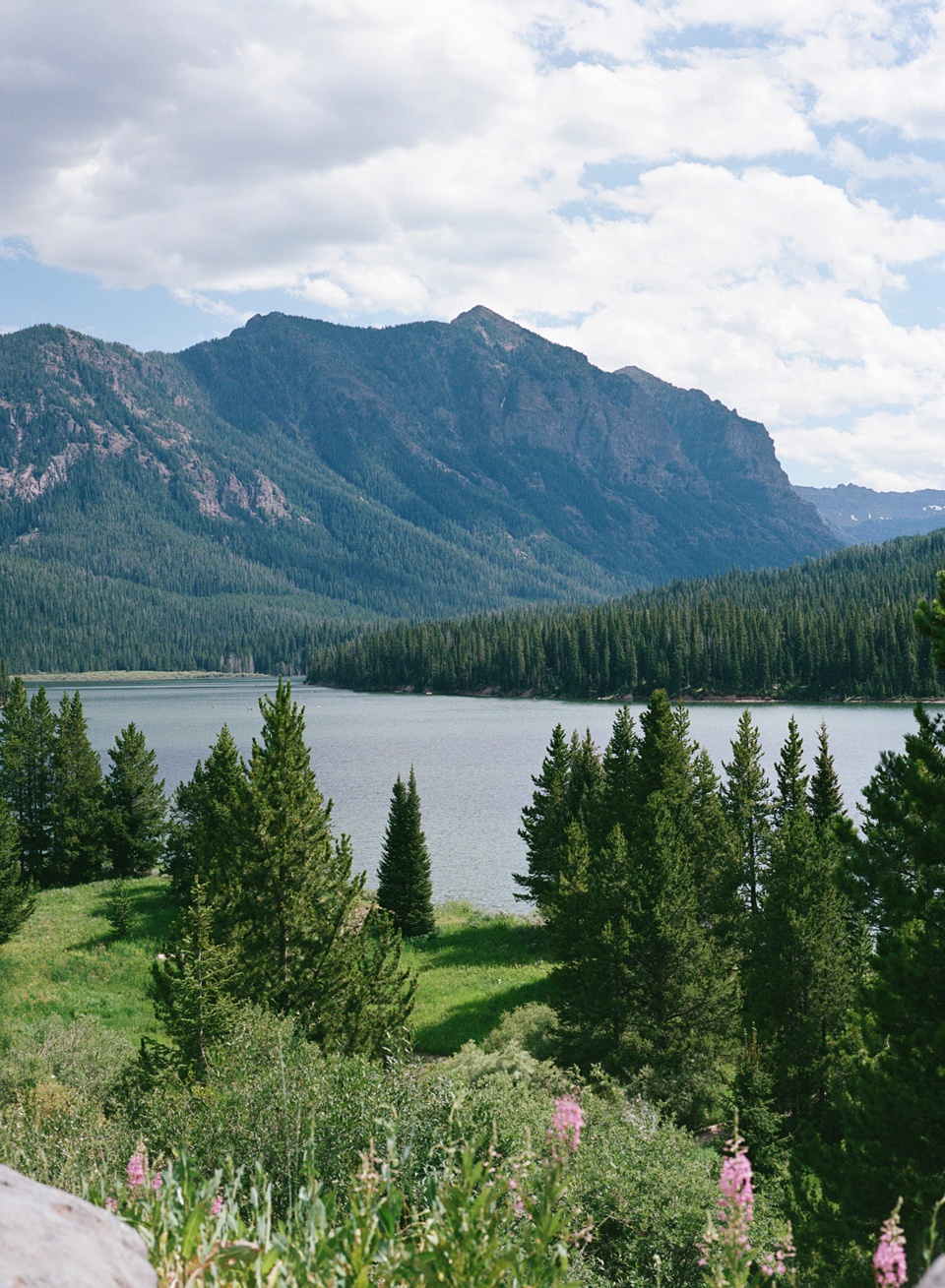 Yellowstone Film Photos,Film Travel Photography