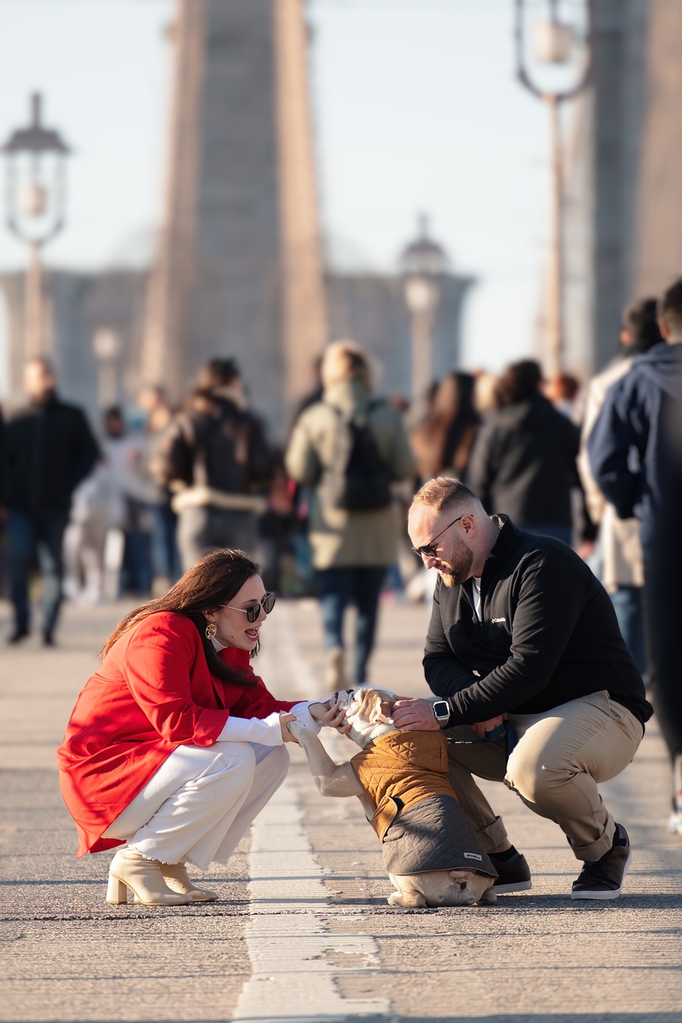brooklyn,dancers,english bulldog,couple photography,pet photography,eddie bauer dog