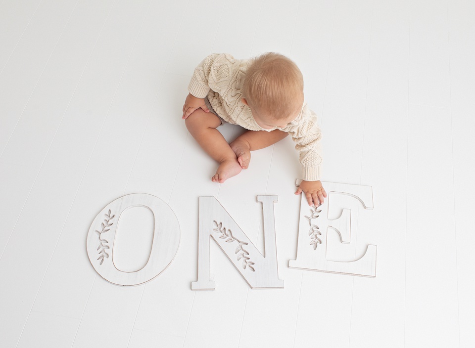 Example Shoot Title Tag baby's first year photo package,milestone session