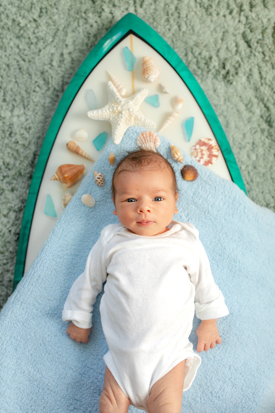 The Haase Family | In-home Newborn Family Session | Roam & Howl Photography