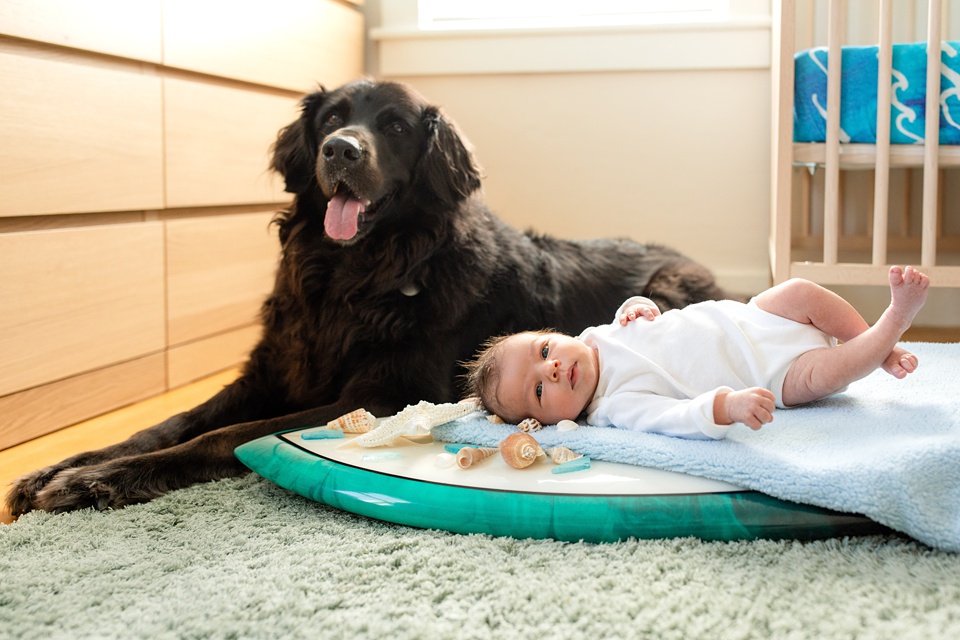 The Haase Family | In-home Newborn Family Session | Roam & Howl Photography