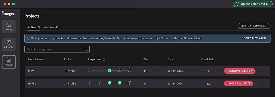 Imagen AI Review Photographer tips,AI Photo editing,Imagen AI