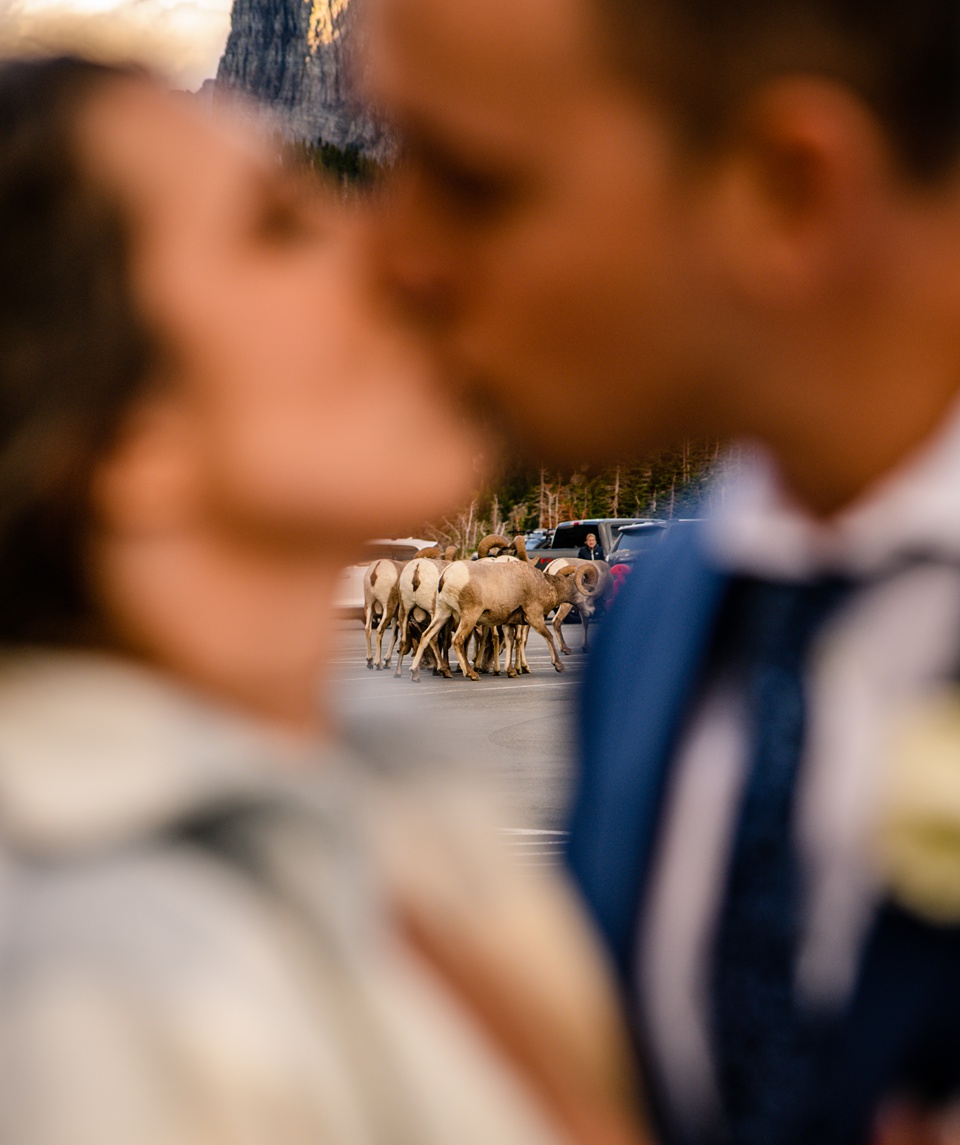 Perfect Lakeside elopement at Rising Sun along St. Mary Lakeshore in Glacier National Park surrounded by friends and family.,Mountain Wedding,Adventure Elopement