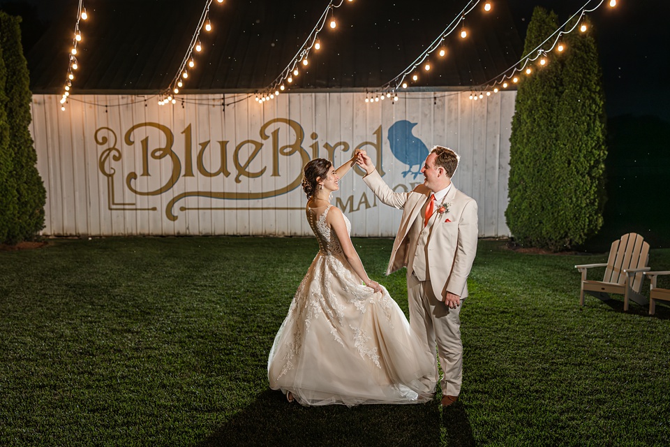 Bluebird Manor Wedding | Maryland Spring Wedding | Colleen & Corey - Valerie Michelle Photography Bluebird Manor Wedding | Maryland Spring Wedding | Colleen & Corey - Valerie Michelle Photography