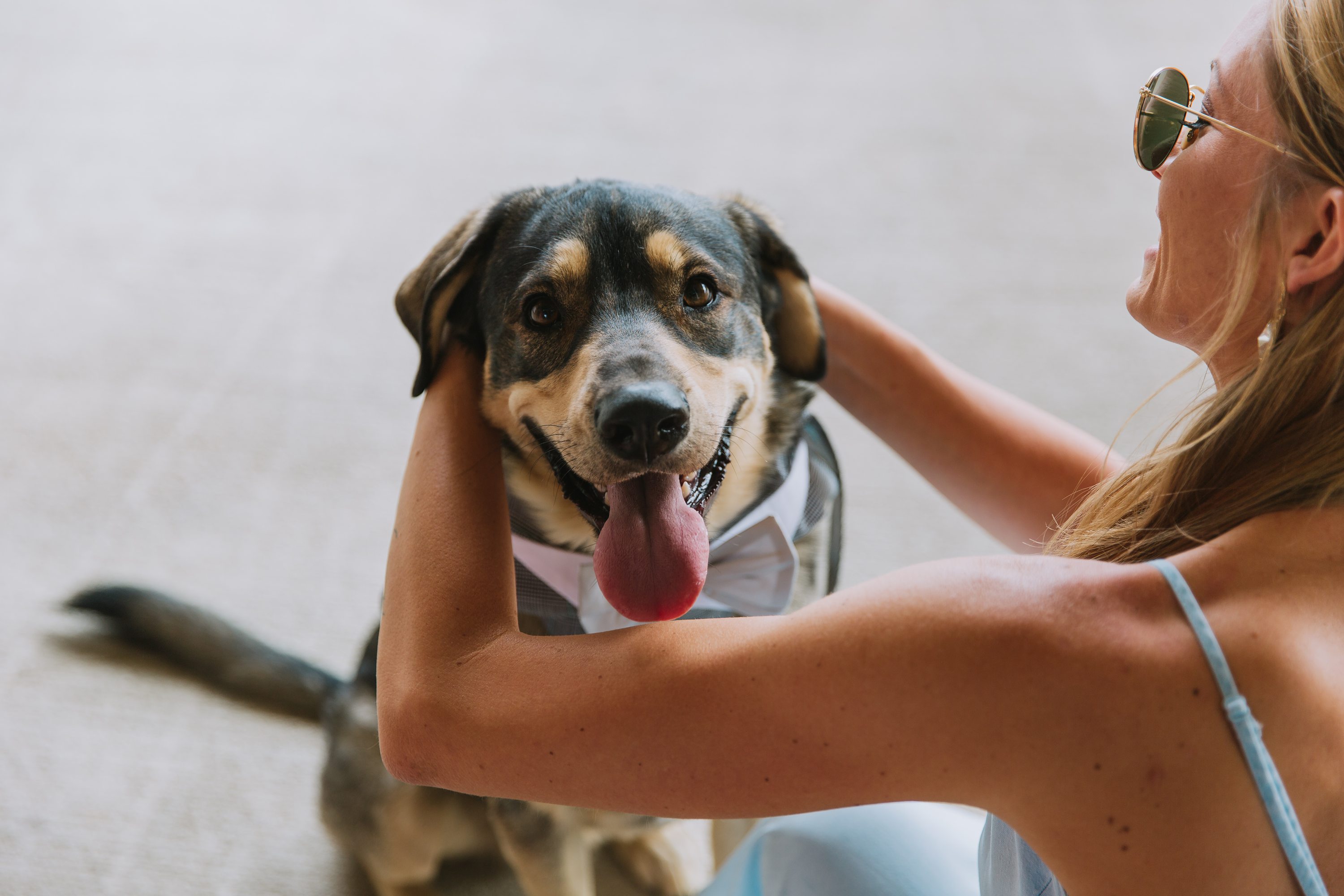 rockin' s ranch,dogs at weddings,dog wedding attire