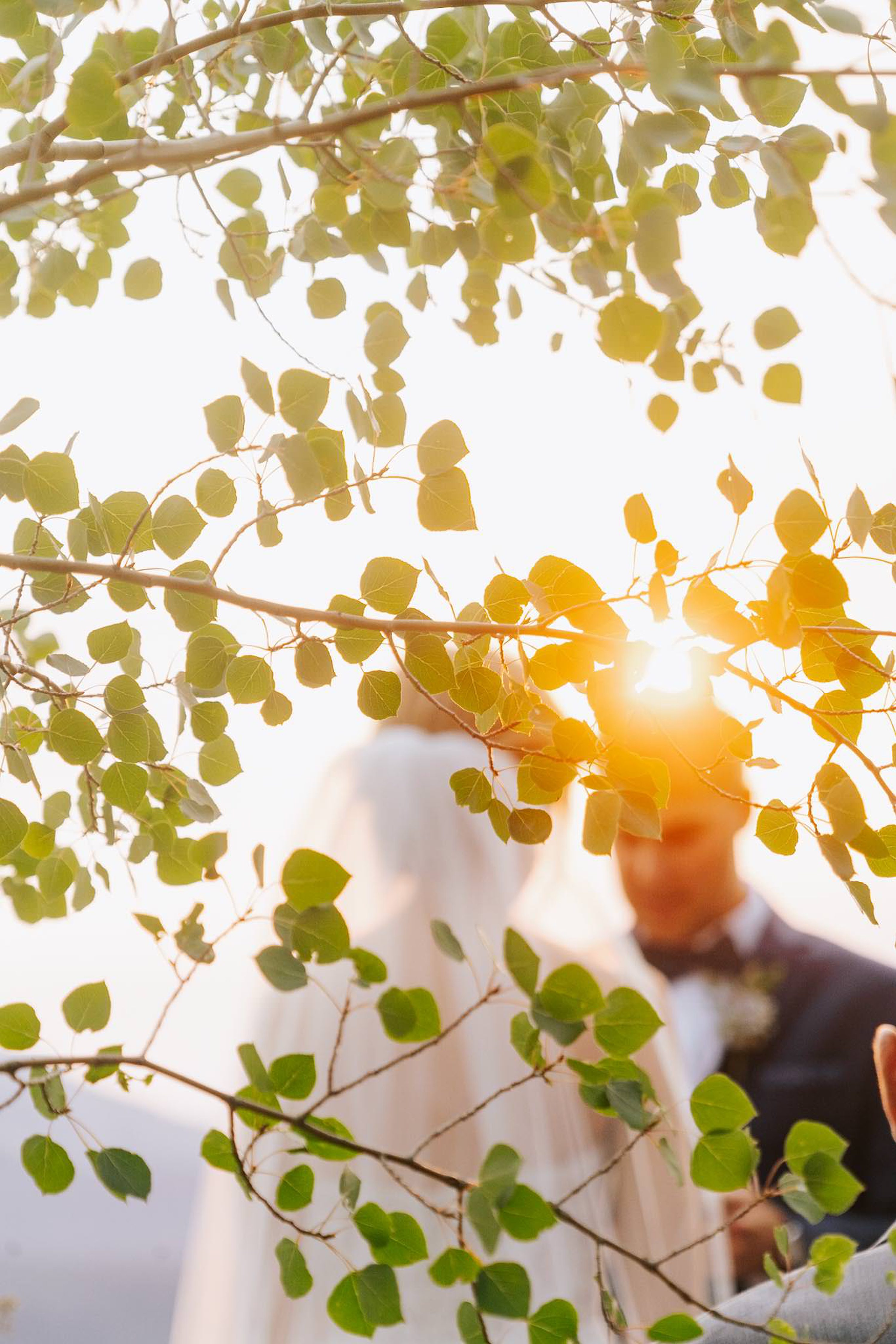 micro wedding