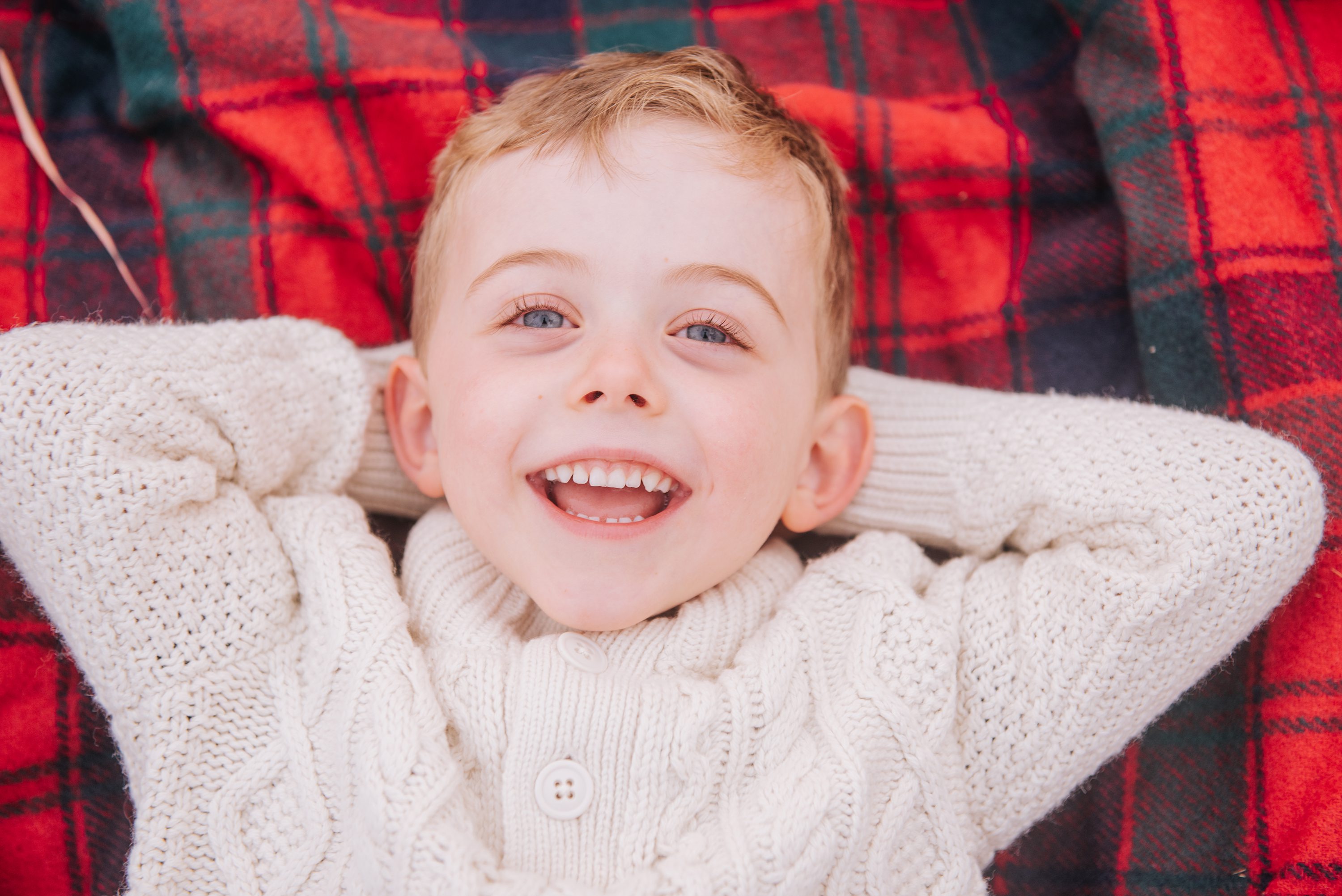  evergreen trees, natural family photos