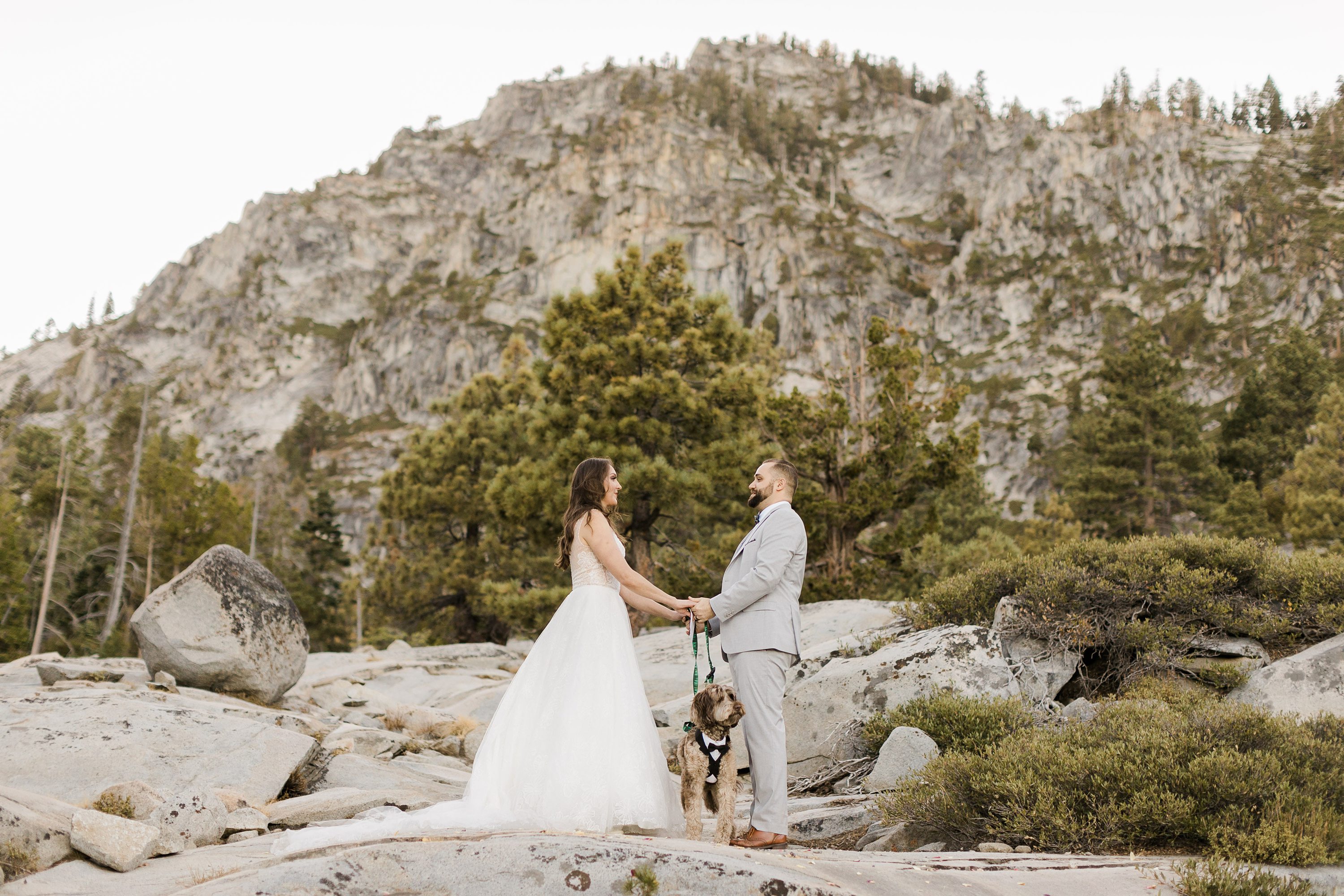 elopement with dog,Wild and Free Elopement