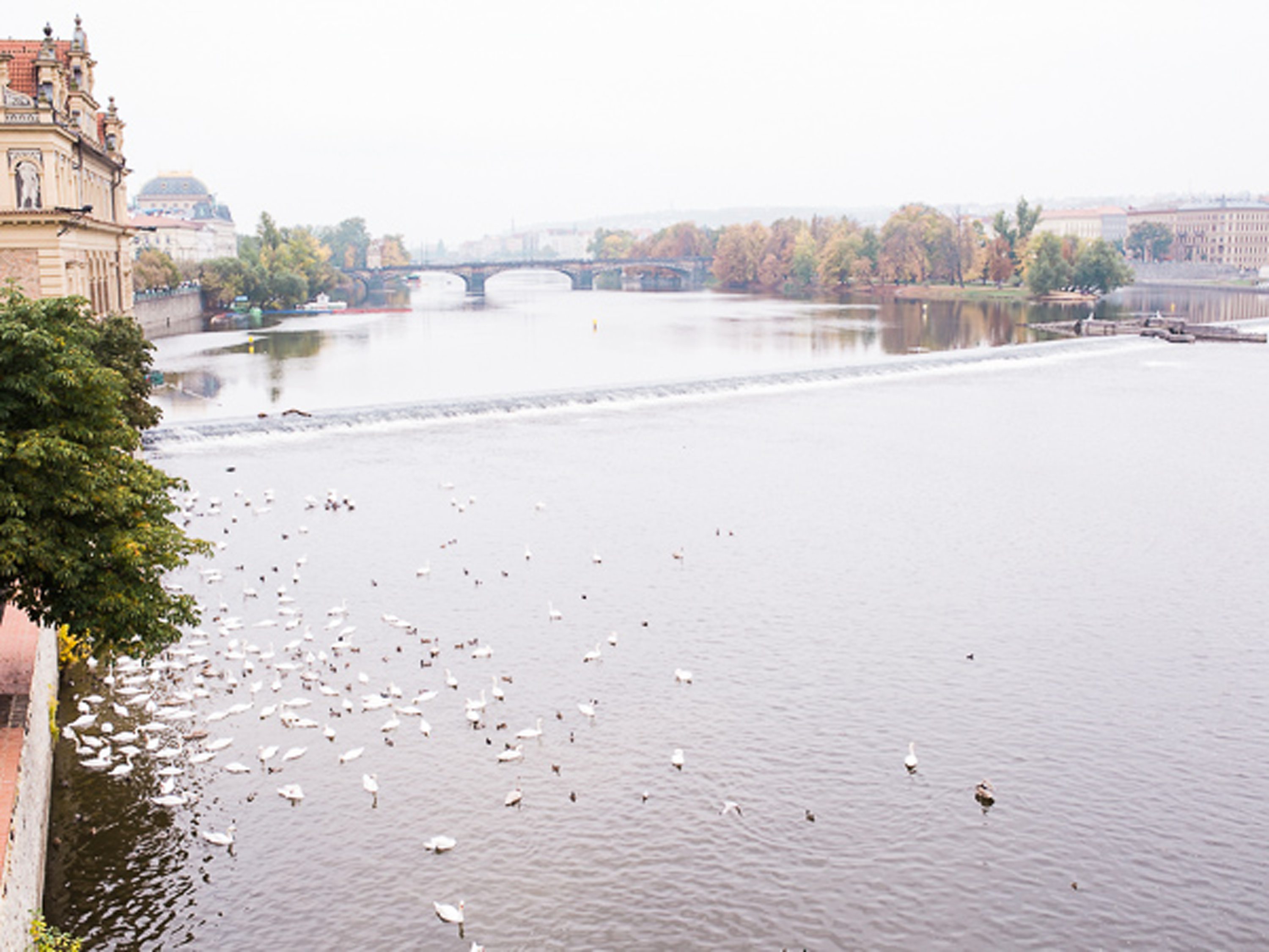 prague,couple photo session